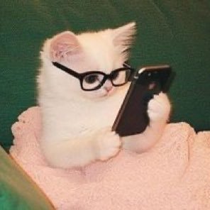 señora la gata esa