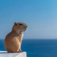 A-Moo’s Bouche 🐮 (@asclepiasrosa) 's Twitter Profile Photo