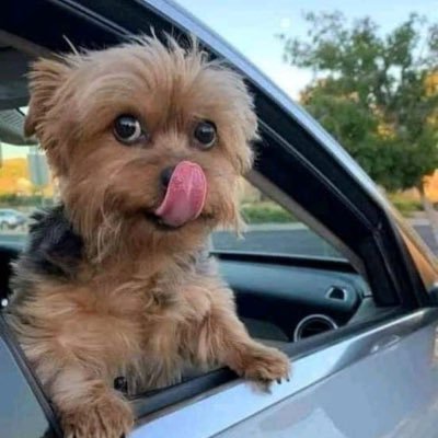 Crypthunter46's profile picture. all about crypto