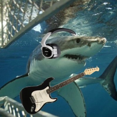 landfish_8's profile picture. #1 Lurker | he/they