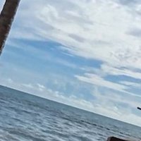 ahgggg (@aahrggg0) 's Twitter Profile
