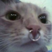 rox (@roxxxipopper) 's Twitter Profile Photo
