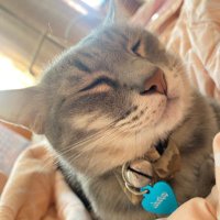 'Moji'🍡🍁ᴛᴀʏ ᴛᴀᴡᴀɴ (@momiji_mig) 's Twitter Profile Photo 'Moji'🍡🍁ᴛᴀʏ ᴛᴀᴡᴀɴ (@momiji_mig) 's Twitter Profile Photo