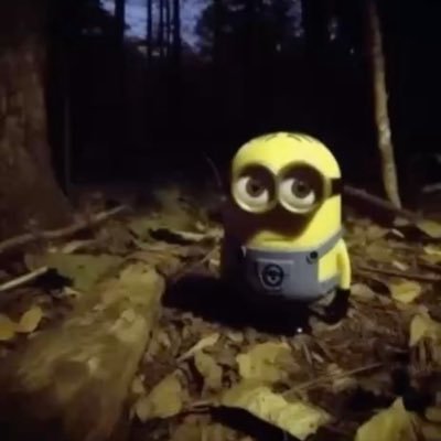 YangC77766374's profile picture. Eth yyds!!!