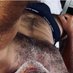Hairydad71 (@hairydad71) Twitter profile photo Hairydad71 (@hairydad71) Twitter profile photo