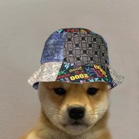 FE!N (@fullportfein) 's Twitter Profile Photo FE!N (@fullportfein) 's Twitter Profile Photo
