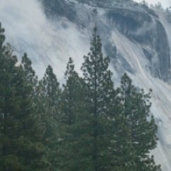 jorywestcoast's profile picture. 