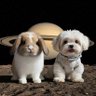 OriginalpanZy's profile picture. I'll be 'SMILEY' of Charlotte Austin☺️🪐🚀 😊🌻🏡🌊😊🐰🐶
