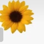 NickPoo465083's profile picture. 