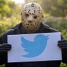 Serp09499's profile picture. I will come for you