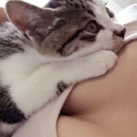 eby (@arthebby) 's Twitter Profile
