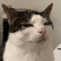 Jude (@eyuhnn) 's Twitter Profile