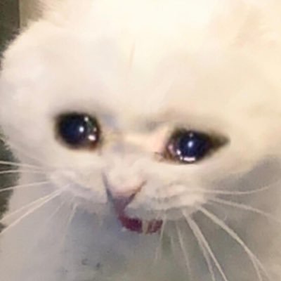 Cwalk98's profile picture. :)