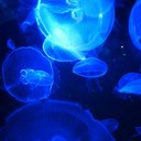 armando razo - @ventasaqs - Twitter