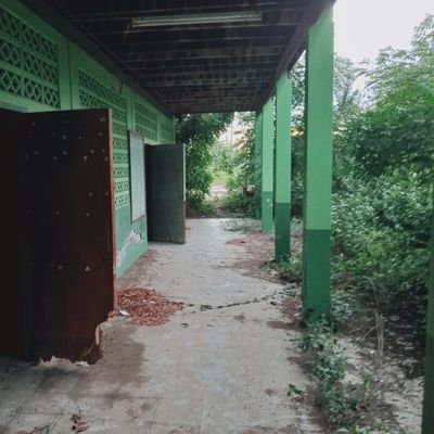 lb0870851415's profile picture. 