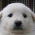 cinnaboybons (@cinnaboybons) Twitter profile photo cinnaboybons (@cinnaboybons) Twitter profile photo