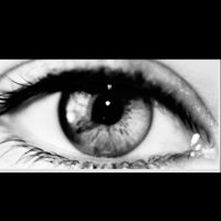 L’impromptue alcaline 💐 (@limpromptuealca) 's Twitter Profile