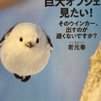 しまぇ (@tts_iy) Twitter profile photo