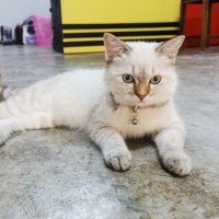 MDคนที่ใช่ในเวลาที่ใช่😻 (@mdj_crazy) 's Twitter Profile Photo MDคนที่ใช่ในเวลาที่ใช่😻 (@mdj_crazy) 's Twitter Profile Photo