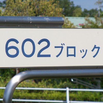 やや傷や汚れあり