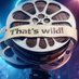 breaking something (@jtwhatsupp) Twitter profile photo