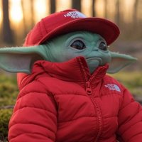 Mace (@mfcmace) 's Twitter Profile