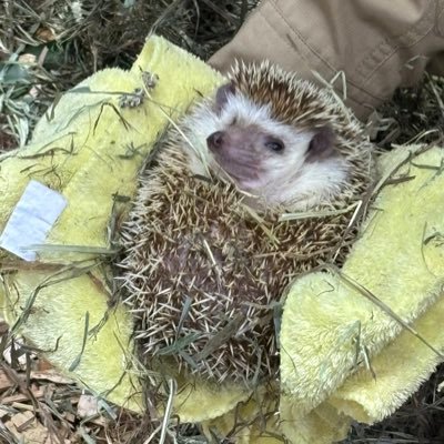 ゆーちんさんのプロフィール画像