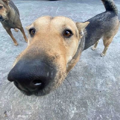 micro1e's profile picture. A place to express your wandering heart
