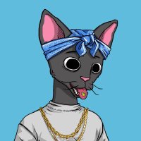 Perseus (@perseus1369040) 's Twitter Profile