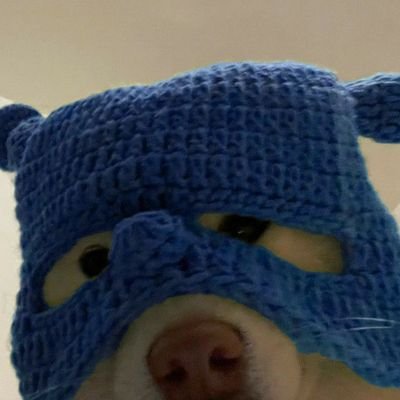 agu_tndnjs_'s profile picture. 푸른 깃발과 함께, 푸른 빛으로 가득할 우리의 여정