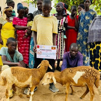 Non governmental organization helping the orphans, widows, needy families and kurban sadaka, water Wells drilling, Quran gifts and helping vulnerable people