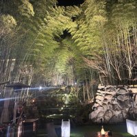 カニカマ(taketakec) (@ctaketakec515) 's Twitter Profile