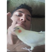 🇧 🇷 🇮 🇳 🇪 ⚡ ✪ (@paulo_brines) 's Twitter Profile