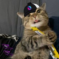 OvHale (@xdob3bw2dzkp4bs) 's Twitter Profile
