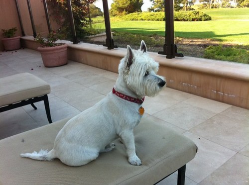 ama2c's profile picture. 