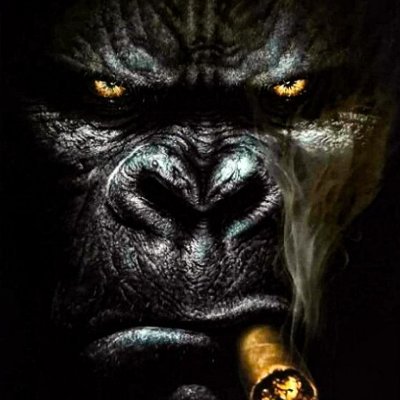 DanielOlapade1's profile picture. Ai