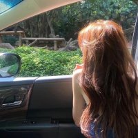 Madeline Tom (@madelizjw) Twitter profile photo
