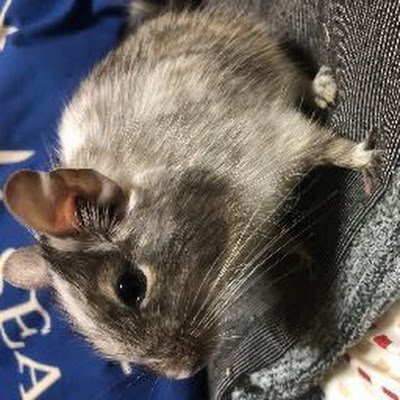 b76dlF4YzL3321's profile picture. 
