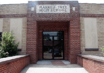 MarkedTreeHigh's profile picture. Learning Today, Leading Tomorrow