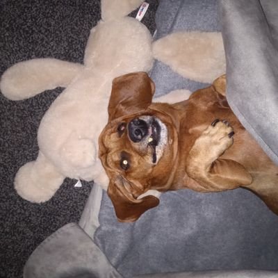 6rdDFRKlIbecrTy's profile picture. somnia