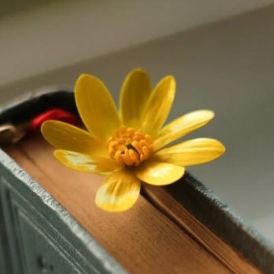 Just a soul wandering through pages and thoughts.
Observatory of life through the lens of mine.