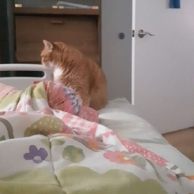 andreaK50317's profile picture. 