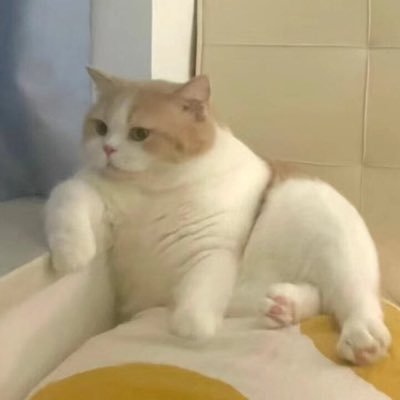 pchjrjj_'s profile picture. วันนี้คุณสั่งของแล้วหรือยัง? | fan account