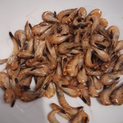 ReneWler's profile picture. 