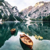 Hoa Le (@le850250) 's Twitter Profile Photo