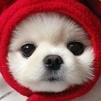 자태 (@8jhyfrhnkokhwjh) 's Twitter Profile Photo 자태 (@8jhyfrhnkokhwjh) 's Twitter Profile Photo