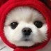 자태 (@8jhyfrhnkokhwjh) Twitter profile photo 자태 (@8jhyfrhnkokhwjh) Twitter profile photo