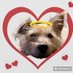 Mr Trebus aka Treebs 🐶🌈🐾 #HarkerToo 💔RUPERT🌈 (@trebus_mr) Twitter profile photo Mr Trebus aka Treebs 🐶🌈🐾 #HarkerToo 💔RUPERT🌈 (@trebus_mr) Twitter profile photo