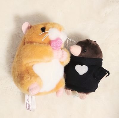 0o(れお)さんのプロフィール画像