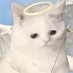 ã«ããœ@ãã€ãšããäž(âºÂŽÏ`â¹ ) (@nyaponosub___3) Twitter profile photo ã«ããœ@ãã€ãšããäž(âºÂŽÏ`â¹ ) (@nyaponosub___3) Twitter profile photo